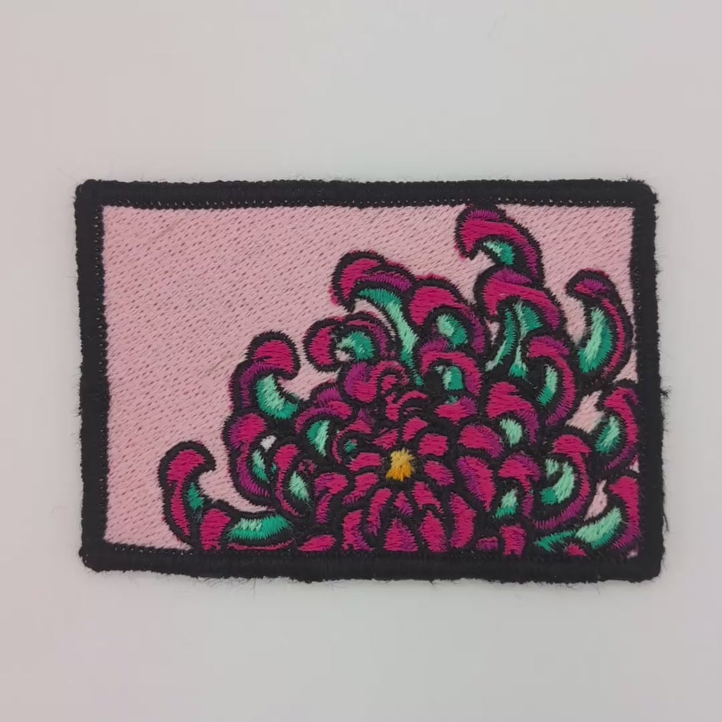 Chrysanthemum Patch