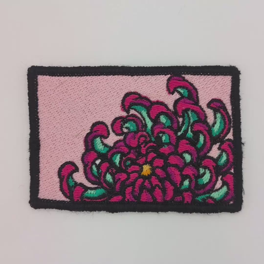 Chrysanthemum Patch